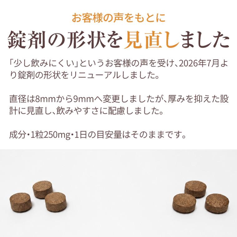 ENGRACE 霊芝 サプリ サプリメント 鹿角霊芝 冬虫夏草 お得 10本セット