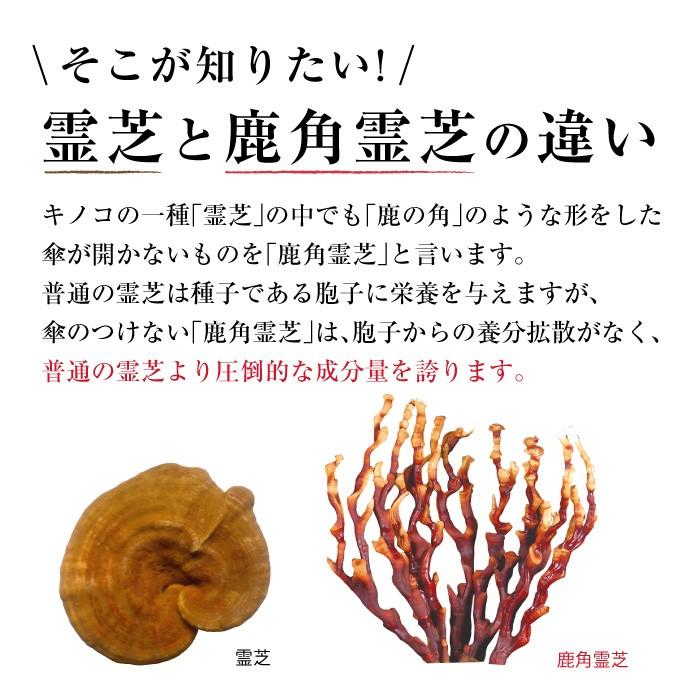 鹿角霊芝 旺煌 鹿角霊芝カプセル120粒 北海道産 1ヶ月分」と「大人気！無農薬