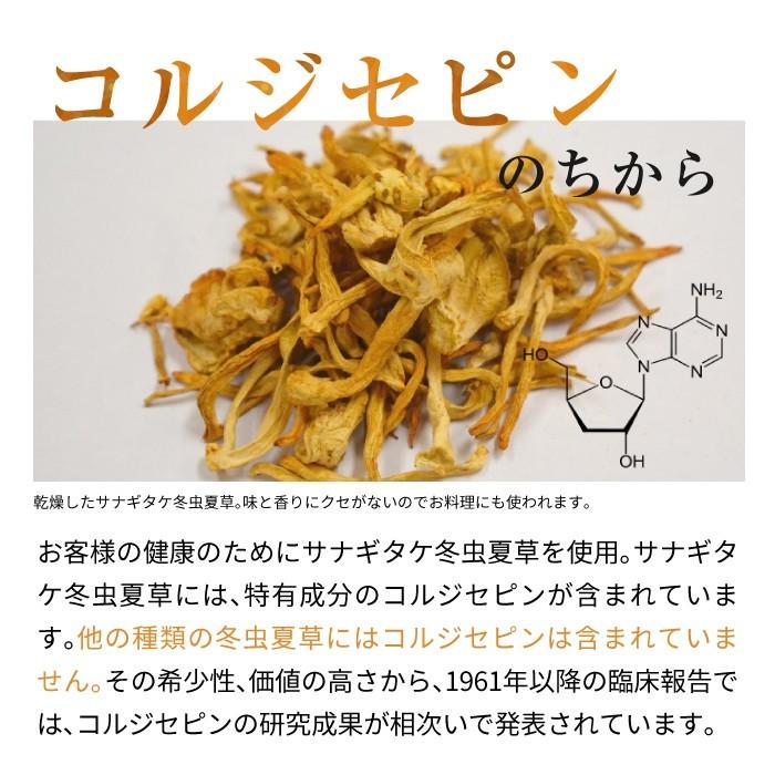 ENGRACE サプリメント 霊芝 サプリ 鹿角霊芝 冬虫夏草 約30日分 免疫