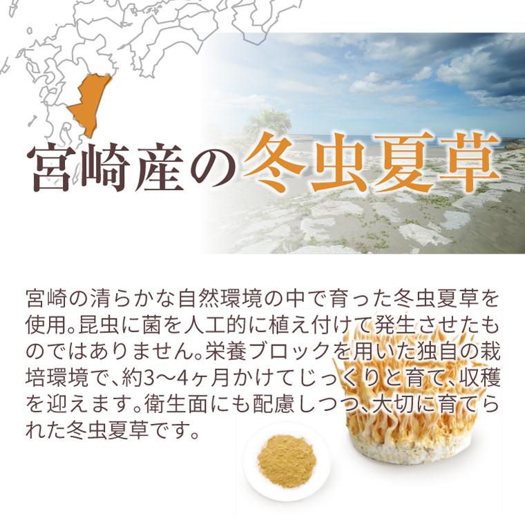 ENGRACE 霊芝 サプリ サプリメント 鹿角霊芝 冬虫夏草 お得 3本セット