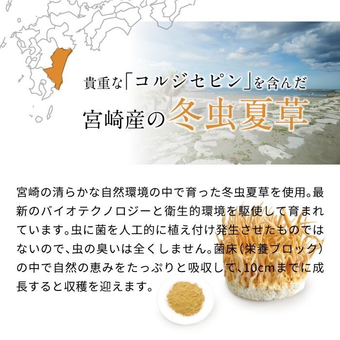 ENGRACE 霊芝 サプリ サプリメント 鹿角霊芝 冬虫夏草 お得 3本セット