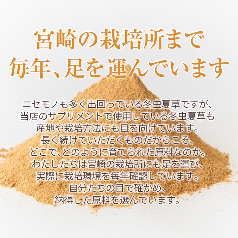 ENGRACE 霊芝 サプリ サプリメント 鹿角霊芝 冬虫夏草 お得 3本セット