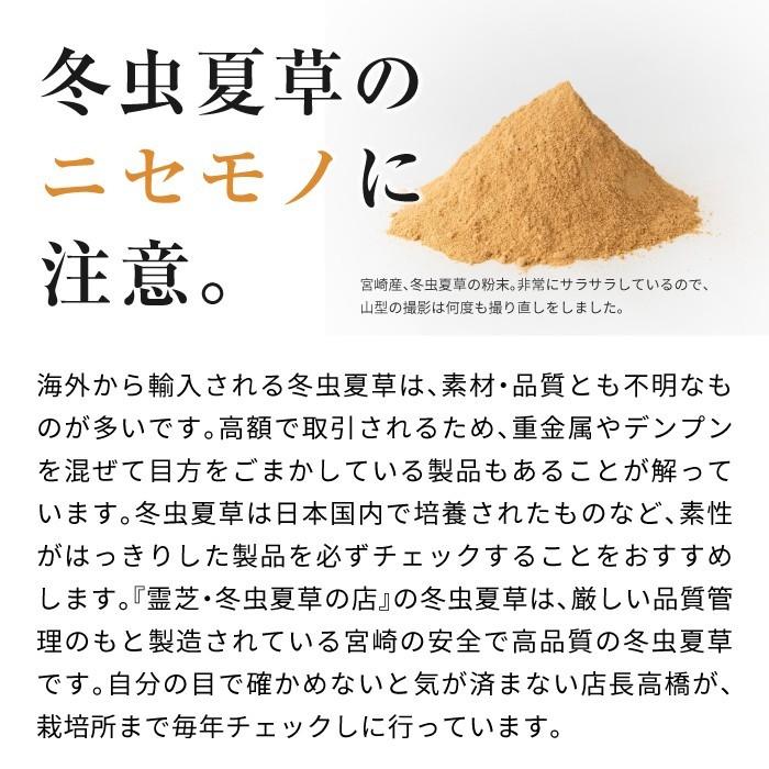 ENGRACE 霊芝 サプリ サプリメント 鹿角霊芝 冬虫夏草 お得 3本セット