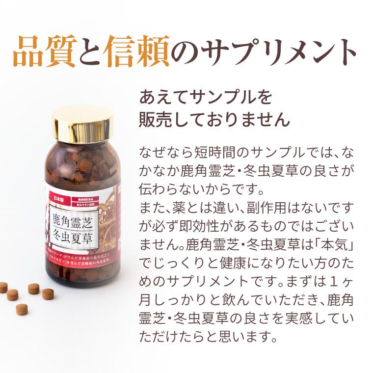 ENGRACE 霊芝 サプリ サプリメント 鹿角霊芝 冬虫夏草 お得 3本セット