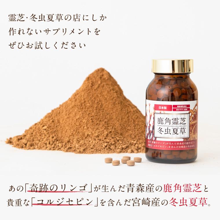 ENGRACE 霊芝 サプリ サプリメント 鹿角霊芝 冬虫夏草 お得 3本セット