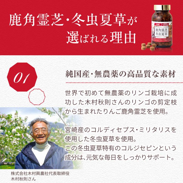 ENGRACE 霊芝 サプリ サプリメント 鹿角霊芝 冬虫夏草 お得 3本セット