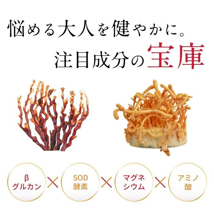ENGRACE 霊芝 サプリ サプリメント 鹿角霊芝 冬虫夏草 お得 3本セット