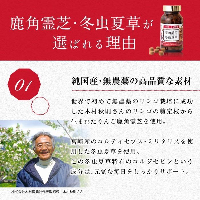 霊芝 サプリ サプリメント 鹿角霊芝 冬虫夏草 5本セット 免疫 健康食品