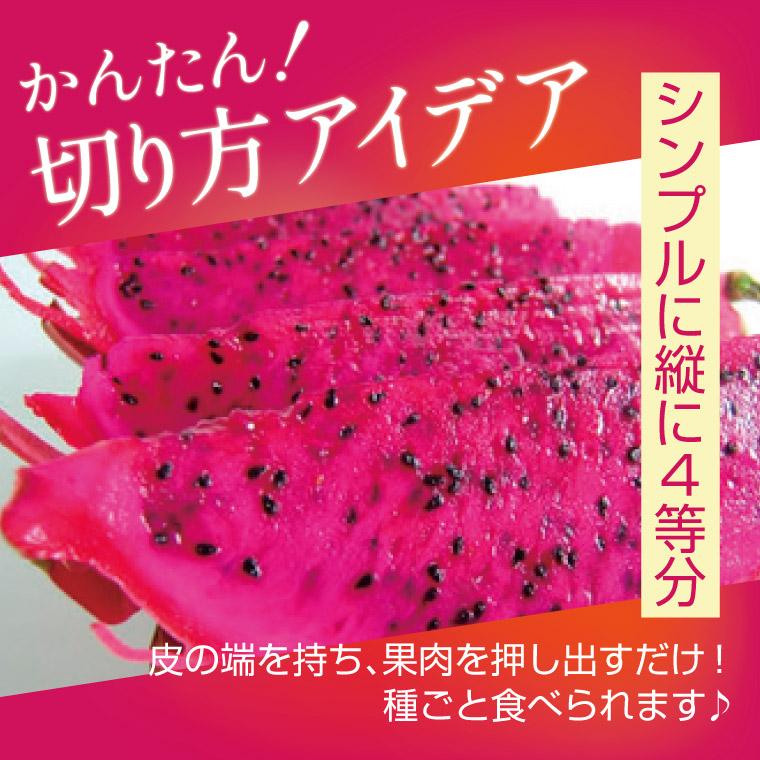 完熟 国産 ドラゴンフルーツ（赤肉）1kg 赤果肉 グルメ 取り寄せ