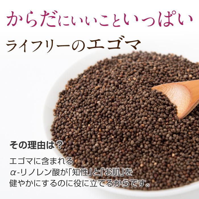 エゴマ エゴマの実 国産 えごま 無農薬 送料無料 オーガニック 100g :egoma:霊芝・冬虫夏草の店 - 通販 - Yahoo!ショッピング エゴマ エゴマの実 国産 えごま 無農薬 送料無料 オーガニック 100g :egoma:霊芝・冬虫夏草の店 - 通販 - Yahoo!ショッピング