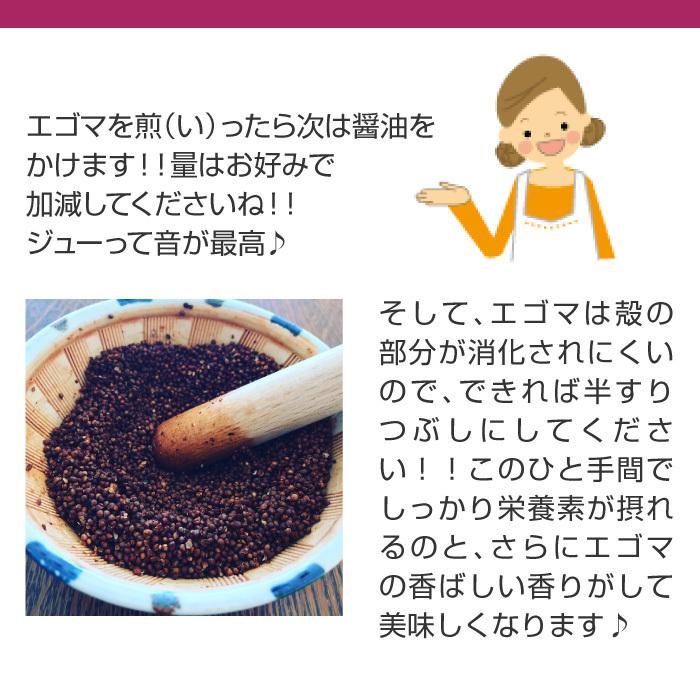 エゴマ エゴマの実 国産 えごま 無農薬 送料無料 オーガニック 100g egoma霊芝・冬虫夏草の店 通販 Yahoo!ショッピング