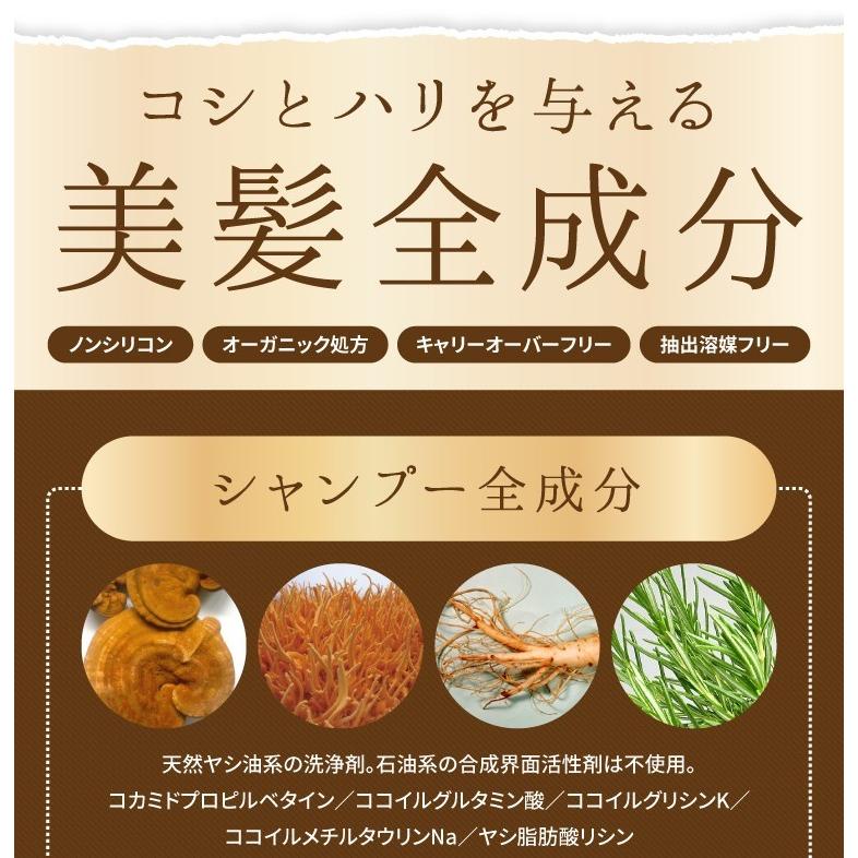 シャンプー トリートメント お試しセット 霊芝 冬虫夏草 ノンシリコン