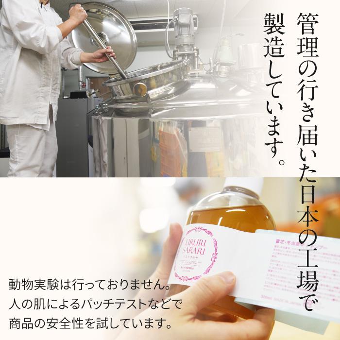 シャンプー トリートメント お試しセット 霊芝 冬虫夏草 ノンシリコン