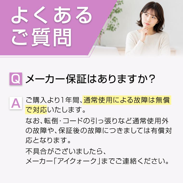 アイクォーク オゾン発生器 日本製 OZONEX オゾネックス 脱臭器 除菌