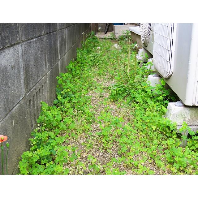 防草シート 90cm×30m 固定ピン60本付 雑草防止 高遮光 日本製 砂利下 人工芝 駐車場 DIY ガーデニング ゴトウ_6