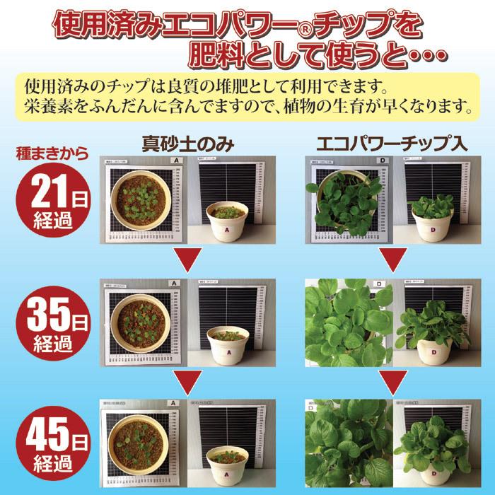 エコ・クリーン 生ごみ処理機 コンポスト 家庭用 自然にカエルS 基本