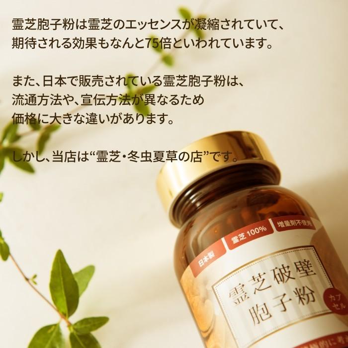 10％OFF 霊芝 サプリメント 3本 セット サプリ 霊芝胞子 破壁霊芝胞子 