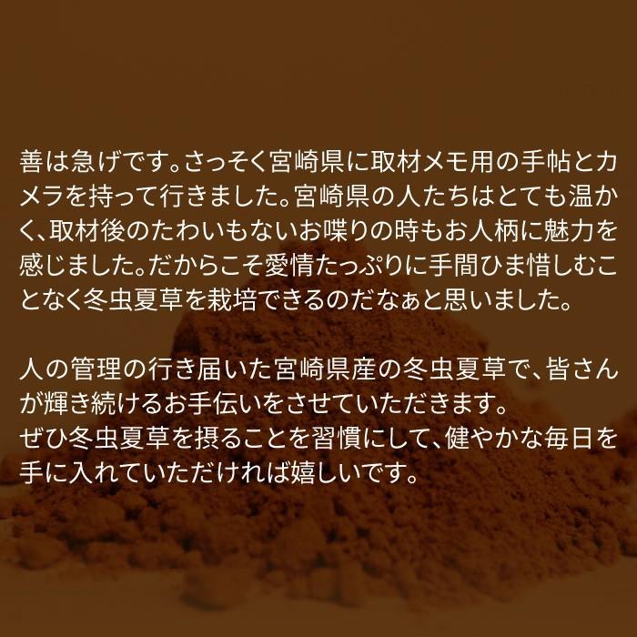 楽天ランキング1位 サプリメント 3個セット 冬虫夏草 宮崎県産 30g 免疫 冬虫夏草粉末100 無添加 健康 送料無料 時間指定不可 Kuljic Com