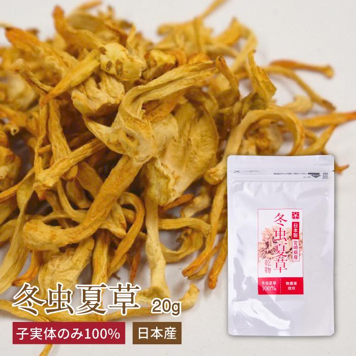 ENGRACE 冬虫夏草 免疫 子実体 20g 乾物 コルジセピン 薬膳 健康 