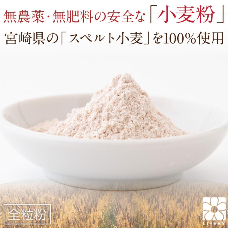 国産 小麦粉 スペルト小麦粉 500g スペルト小麦 古代小麦 無農薬 無