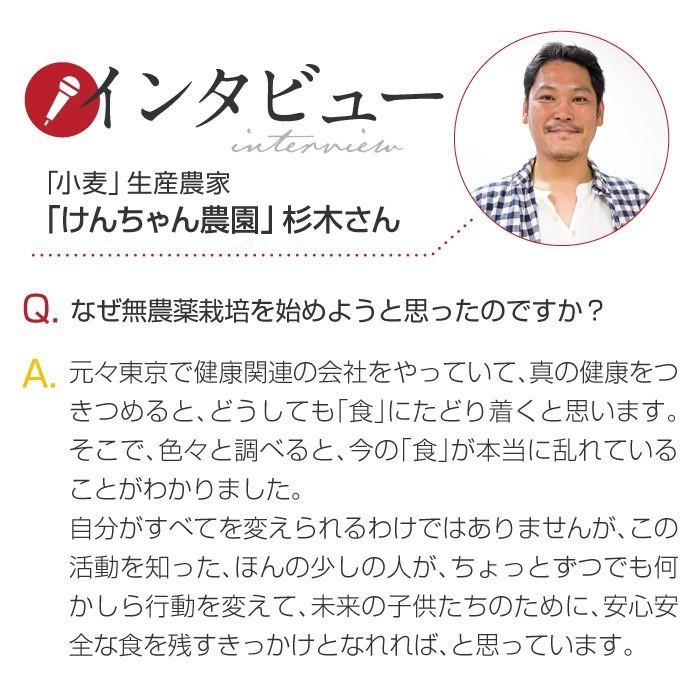 令和6年産 小麦 ミナミノカオリ 玄麦 粒 丸麦 農薬不使用 10kg 送風乾燥 自然栽培小麦 玄麦30kg 「ミナミノカオリ」 | waccafarm