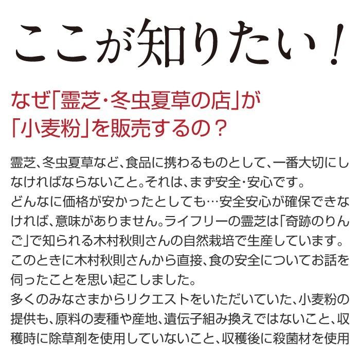 令和6年産 小麦 ミナミノカオリ 玄麦 粒 丸麦 農薬不使用 10kg 送風乾燥 令和7年産 小麦粉 全粒粉 国産 ミナミノカオリ 強力粉 500g