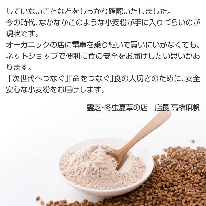 令和6年産 小麦 ミナミノカオリ 玄麦 粒 丸麦 農薬不使用 10kg 送風乾燥 R7年産 小麦 ミナミノカオリ 玄麦 粒 丸麦 農薬不使用 500グラム