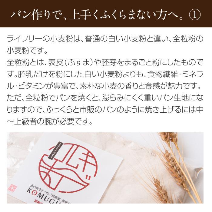 強力粉 薄力粉 全粒粉