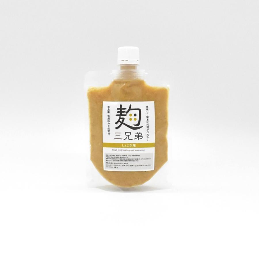 塩麹 無添加 塩こうじ 単品 にんにく しょうが たまねぎ 無農薬 腸