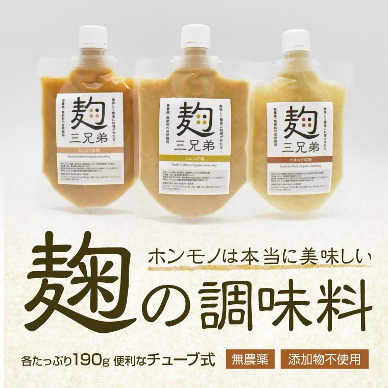 塩麹 無添加 塩こうじ 単品 自然栽培 にんにく しょうが たまねぎ 無農薬 腸 オーガニック チューブ パウチ 国産 ギフト 調味料 ペースト 発酵｜reishisoap｜05