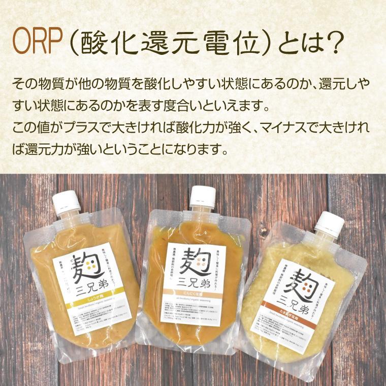 ENGRACE 塩麹 無添加 塩こうじ 単品 にんにく しょうが たまねぎ 無