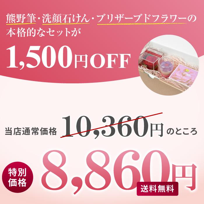 KOYUDO（晃祐堂） ギフト セット 熊野筆 ローズ 洗顔 洗顔ブラシ 洗顔