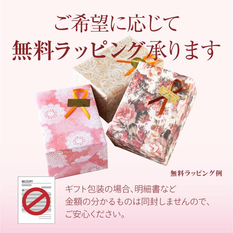 ReFa 洗顔ブラシ　熊野筆 洗顔用 熊野筆 | VICTOIRE SHOP