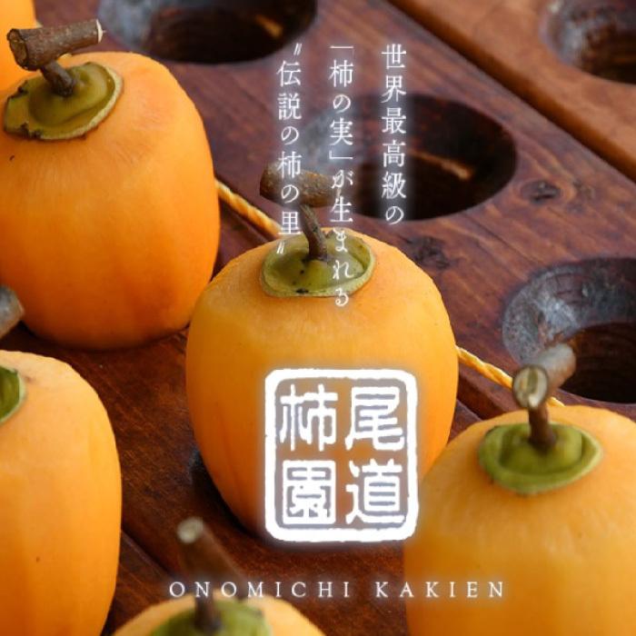 maruri　KOYUDO cllection 柿渋 メイクブラシセット 楽天市場】伝統的工芸品展 入賞 熊野筆 メイクブラシセット 柿渋