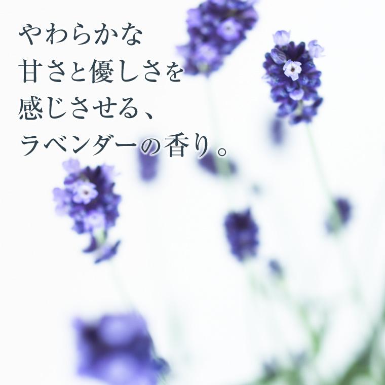 ENGRACE 霊芝 冬虫夏草 ラベンダーソープ 80g 洗顔石鹸 固形石鹸 洗顔