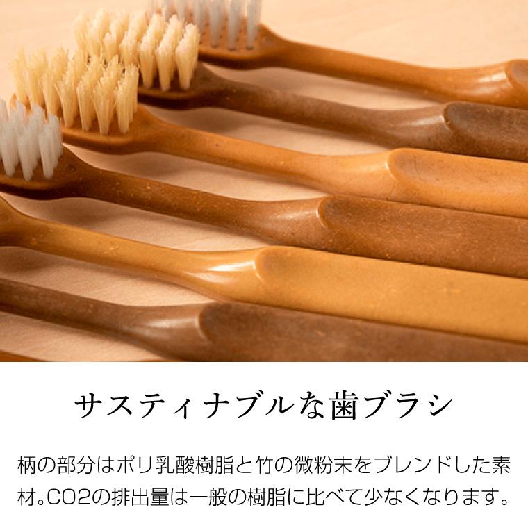 FINE JAPAN 竹歯ブラシ MEGURU 日本製 馬毛 豚毛 エコ ハブラシ SDGs