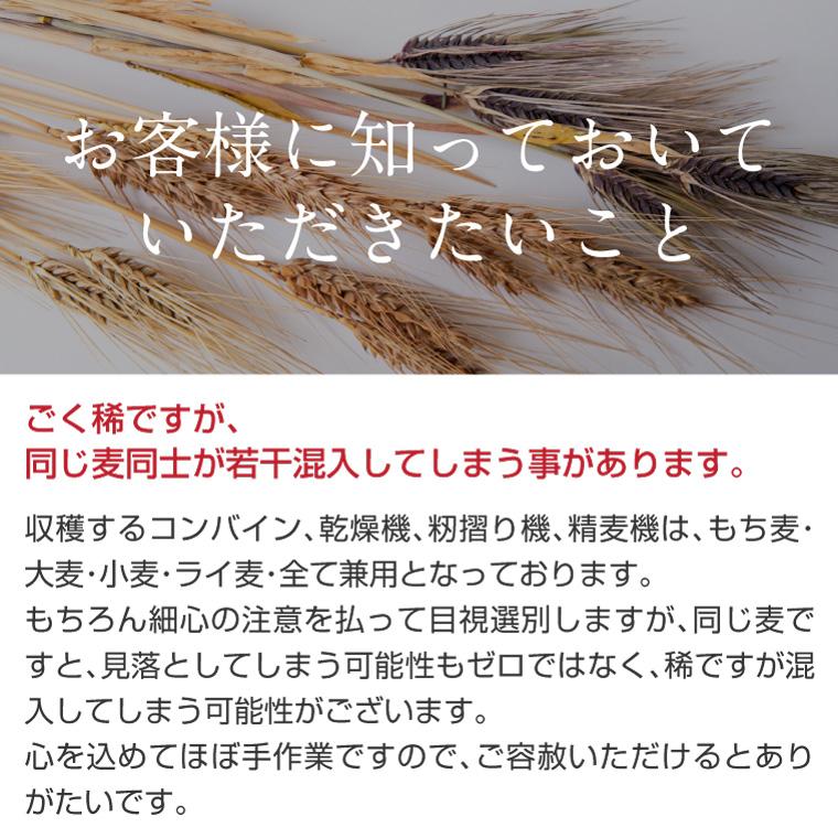 もち麦 もちむぎ 2kg 無農薬 無肥料 自然栽培 ダイシモチ 宮崎県産 食物繊維｜reishisoap｜21