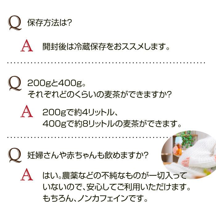麦茶 0g 無添加 むぎ茶 麦 宮崎県産 ミネラル 送料無料 ノンカフェイン Mugi0 霊芝 冬虫夏草の店 通販 Yahoo ショッピング
