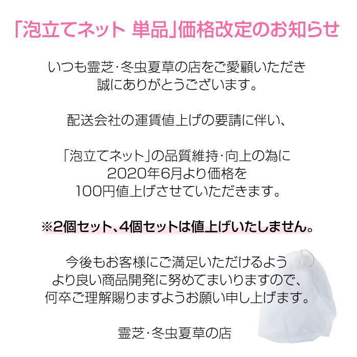 洗顔ネット 泡立てネット 泡ネット 国産 日本製 ポイント消化 : 霊芝