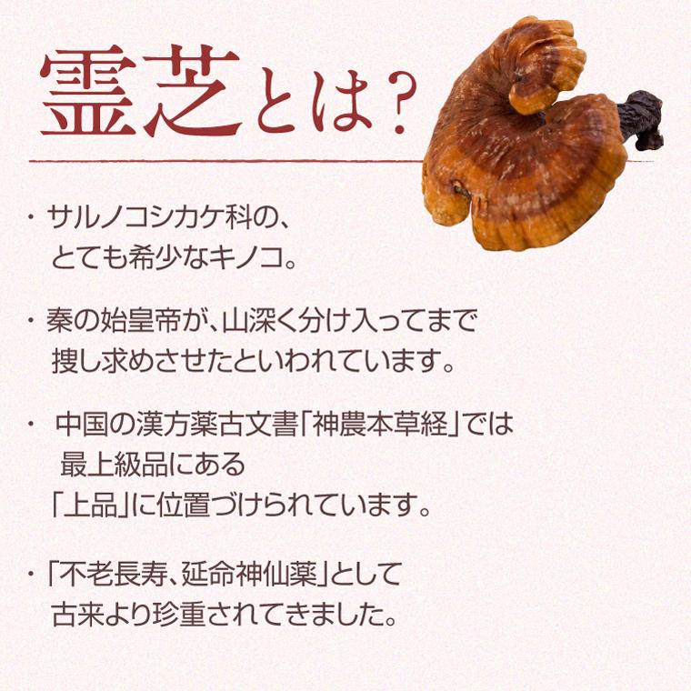国産 霊芝 スライス 100g 霊芝茶 健康茶 ノンカフェイン 無農薬 日本製