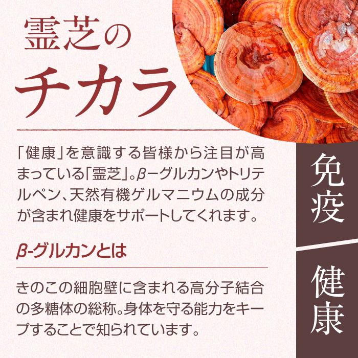 ENGRACE 国産 霊芝 スライス 100g 霊芝茶 健康茶 ノンカフェイン お茶