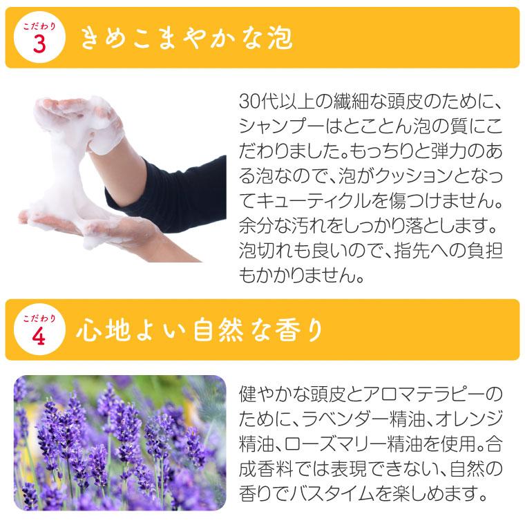 福袋 2025 シャンプー トリートメント セット オーガニック 霊芝