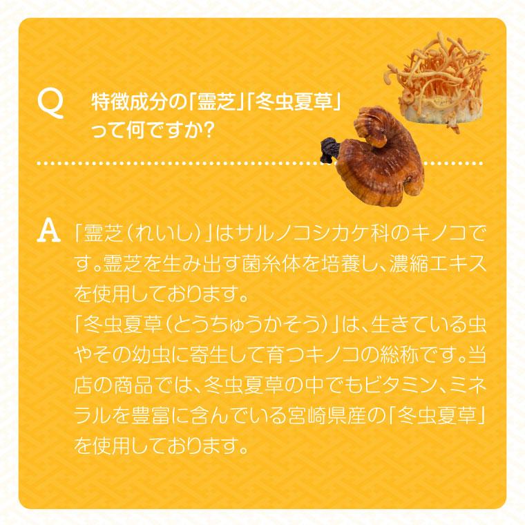 福袋 2025 シャンプー トリートメント セット オーガニック 霊芝