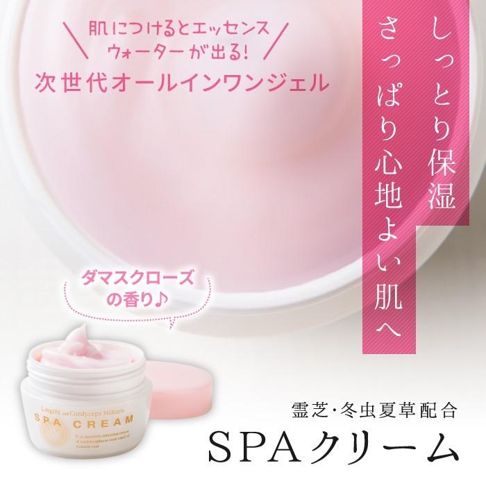 ENGRACE オールインワン スキンケア 霊芝 冬虫夏草 SPAクリーム 500g 