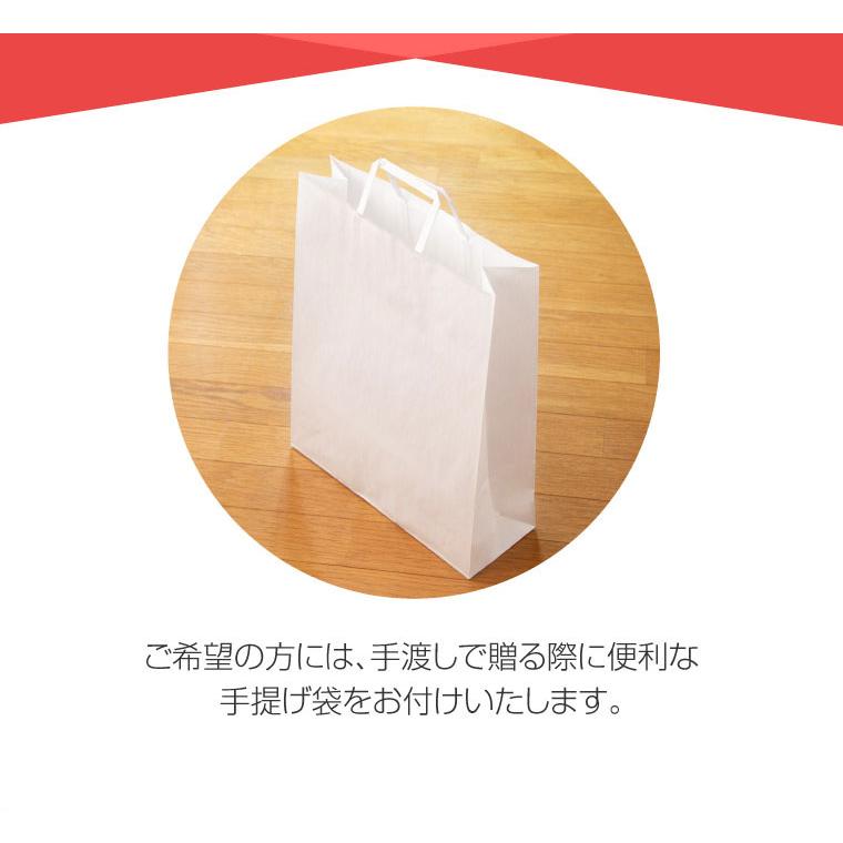 2枚 セット エアーかおる バスタオル 60×120cm ベビマム タオル 薄手 浅野撚糸 カンブリア宮殿 母の日 新生活 爆買 速乾 時短の画像