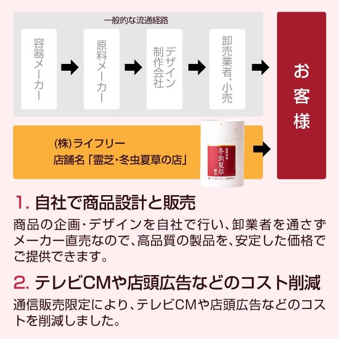 冬虫夏草 免疫 サプリメント サプリ 顆粒 スティック 3個 セット 1箱 