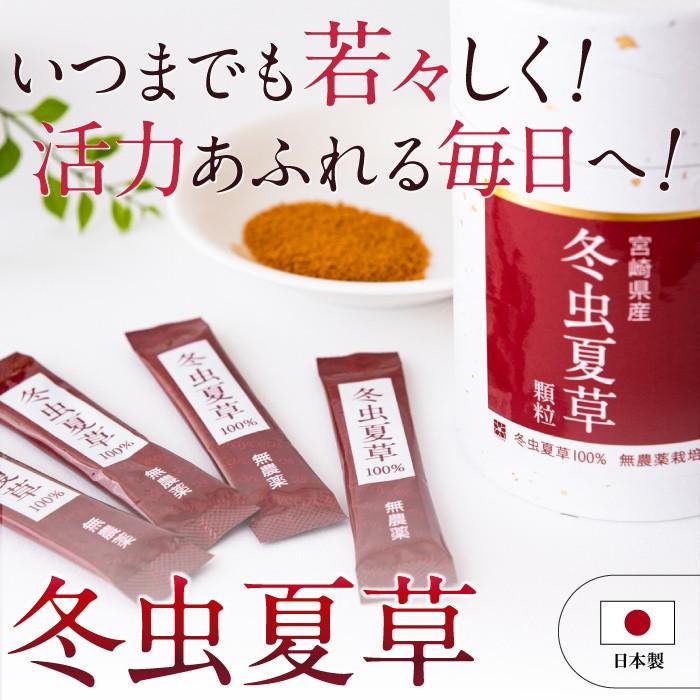 冬虫夏草 免疫 サプリメント サプリ 顆粒 スティック 3個 セット 1箱 