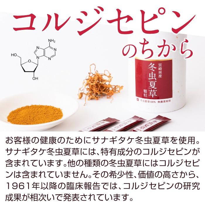 冬虫夏草 免疫 サプリメント サプリ 顆粒 スティック 3個 セット 1箱 