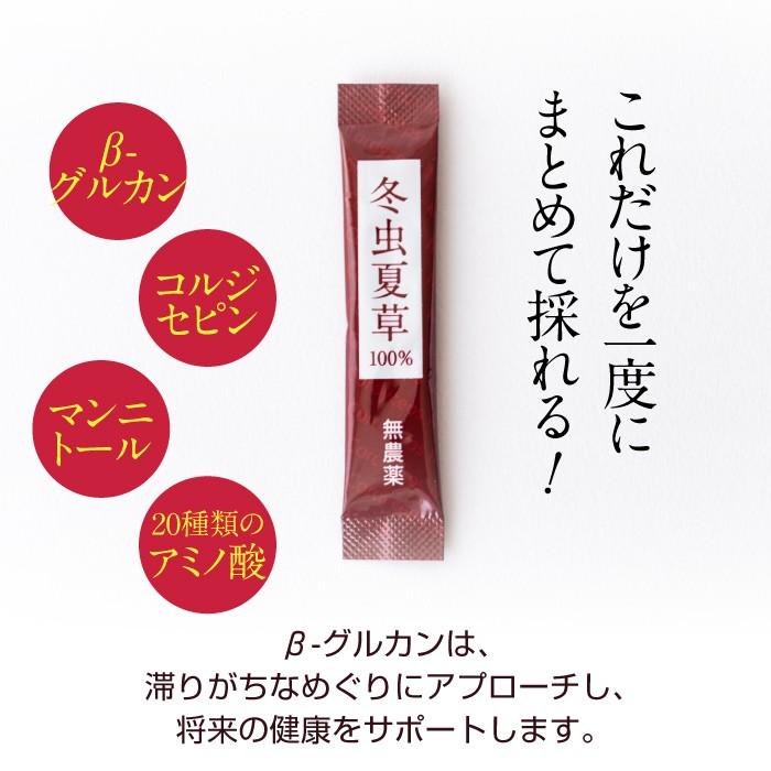 冬虫夏草 免疫 サプリメント サプリ 顆粒 スティック 3個 セット 1箱 