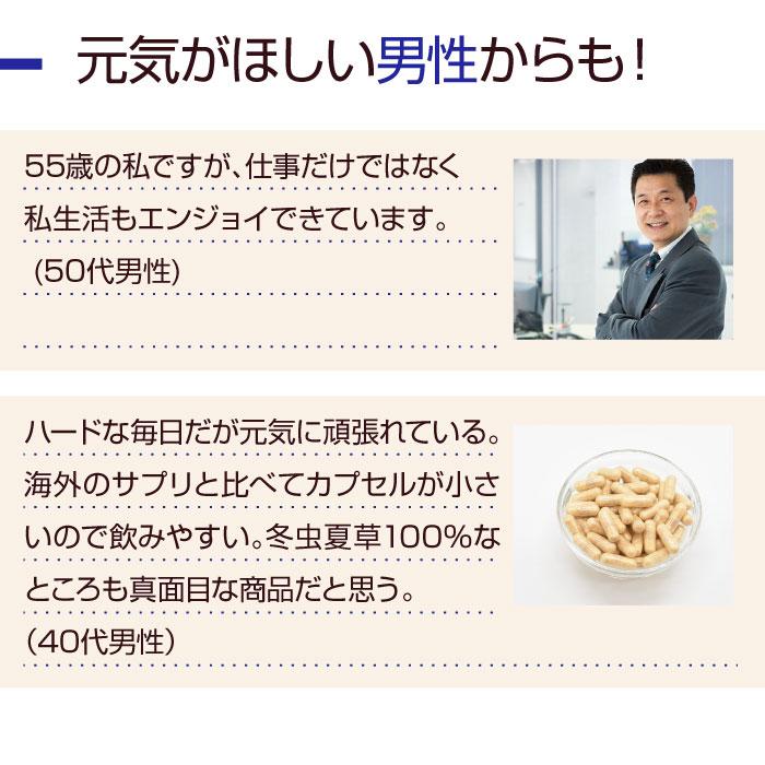 国産 冬虫夏草 100％ サプリメント 添加物ゼロ コルジセピン